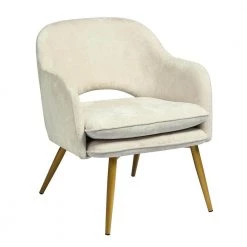 Lindsay Beige Velvet Accent Chair Arm Chair by Homy Casa
