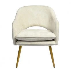 Lindsay Beige Velvet Accent Chair Arm Chair by Homy Casa -Homy Casa Shop beige homy casa accent chairs lindsay beige 1pcs c3 1000