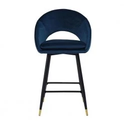 2-Piece Blue Modern Velvet Bar Chairs with Back, Leisure Chairs Dinning Chairs for Home and Office by Homy Casa -Homy Casa Shop blue homy casa bar stools kenzie velvet vavy blue bar black gold l c3 1000