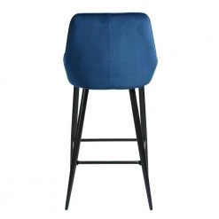 Rabiot 40 in. Blue Low Back Metal Frame Bar Stool with Velvet Seat ( Set of 2) by Homy Casa -Homy Casa Shop blue homy casa bar stools rabiot bar blue fa 1000
