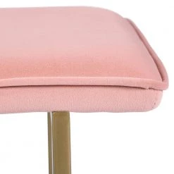 Slip Blush Fabric Gold Legs Bench18.5 in. H x 44.5 in. W x 15 in. D by Homy Casa -Homy Casa Shop blush homy casa bedroom benches hd slip bench frost blush gold legs fa 1000