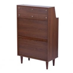 Ravet Brown Shoe Storage Cabinet With 2-Door by Homy Casa 23 Ravet Brown Shoe Storage Cabinet With 2-Door by Homy Casa -Homy Casa Shop brown homy casa accent cabinets ravet 1f 1000