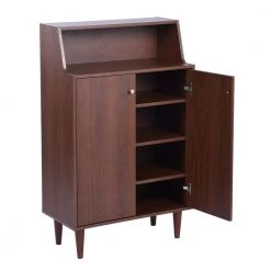 Ravet Brown Shoe Storage Cabinet With 2-Door by Homy Casa 21 Ravet Brown Shoe Storage Cabinet With 2-Door by Homy Casa -Homy Casa Shop brown homy casa accent cabinets ravet c3 1000