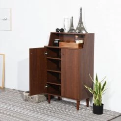 Ravet Brown Shoe Storage Cabinet With 2-Door by Homy Casa 16 Ravet Brown Shoe Storage Cabinet With 2-Door by Homy Casa -Homy Casa Shop brown homy casa accent cabinets ravet e1 1000