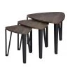 Kauwhata Brown 3-Piece Nesting Coffee Tables by Homy Casa