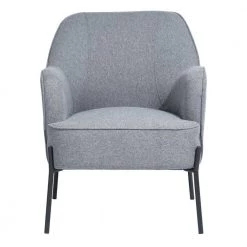 Dugan Gray Upholstered Accent Chair by Homy Casa