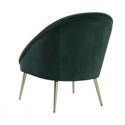 Contento Gold Metal Upholstered Green Velvet Accent Chair by Homy Casa -Homy Casa Shop green homy casa accent chairs hd contento 1f 1000