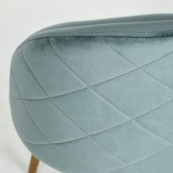 Carson Carrington Mid-Century Modern Lake green Velvet Dining Chair (Set of 2) by Homy Casa -Homy Casa Shop green homy casa dining chairs zomba green velvet diamond kd metal a fa 1000