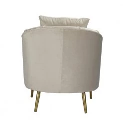 HD-TACKO Grey Velvet Armchair by Homy Casa 19 HD-TACKO Grey Velvet Armchair by Homy Casa -Homy Casa Shop grey homy casa accent chairs hd tacko grey 1f 1000