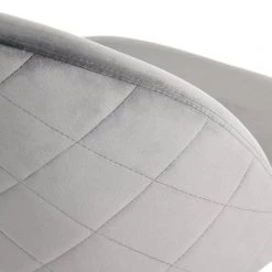 Zomba Grey Velvet Dining Chair (Set of 2) by Homy Casa 19 Zomba Grey Velvet Dining Chair (Set of 2) by Homy Casa -Homy Casa Shop grey homy casa accent chairs hd zomba grey velvet diamond kd metal sy fa 1000