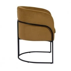 Charles Ochre Velvet with Metal Black Paintting Frame Leisure Chair by Homy Casa -Homy Casa Shop ochre homy casa accent chairs hd charles ochre 4f 1000