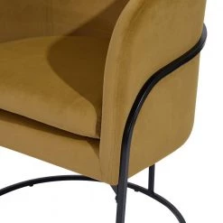 Charles Ochre Velvet with Metal Black Paintting Frame Leisure Chair by Homy Casa -Homy Casa Shop ochre homy casa accent chairs hd charles ochre 76 1000