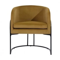 Charles Ochre Velvet with Metal Black Paintting Frame Leisure Chair by Homy Casa -Homy Casa Shop ochre homy casa accent chairs hd charles ochre c3 1000