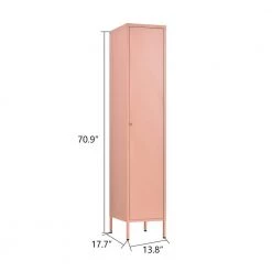 Wimmer Pink Metal Accent Storage Cabinets by Homy Casa -Homy Casa Shop pink homy casa accent cabinets hd wimmer pink 44 1000