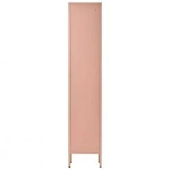 Wimmer Pink Metal Accent Storage Cabinets by Homy Casa -Homy Casa Shop pink homy casa accent cabinets hd wimmer pink c3 1000