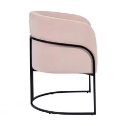 Stylish Button Velvet Leisure Armchair With Black Paintting Frame Pink Arm Chair by Homy Casa -Homy Casa Shop pink homy casa accent chairs charles blush 1f 1000