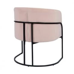 Stylish Button Velvet Leisure Armchair With Black Paintting Frame Pink Arm Chair by Homy Casa -Homy Casa Shop pink homy casa accent chairs charles blush 4f 1000