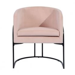 Stylish Button Velvet Leisure Armchair With Black Paintting Frame Pink Arm Chair by Homy Casa -Homy Casa Shop pink homy casa accent chairs charles blush c3 1000