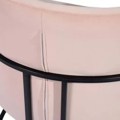 Stylish Button Velvet Leisure Armchair With Black Paintting Frame Pink Arm Chair by Homy Casa -Homy Casa Shop pink homy casa accent chairs charles blush fa 1000