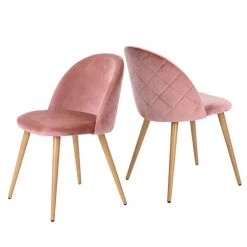 Zomba Pink Velvet Dining Chair (Set of 2) by Homy Casa