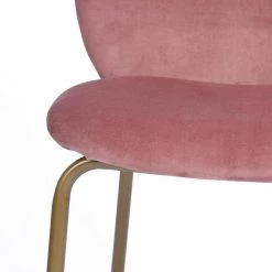 Jule Pink Velvet Cover Elegant Dining Chairs (Set of 2) by Homy Casa -Homy Casa Shop pink velvet homy casa dining chairs jule rose 76 1000