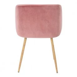 Ynez Velvet Upholstered Black Metal Legs Arm Dining Chairs(Set of 2) by Homy Casa -Homy Casa Shop rose homy casa dining chairs ynez rose oak x leg 44 1000