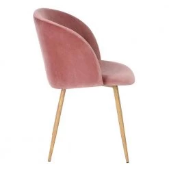 Ynez Velvet Upholstered Black Metal Legs Arm Dining Chairs(Set of 2) by Homy Casa -Homy Casa Shop rose homy casa dining chairs ynez rose oak x leg 4f 1000