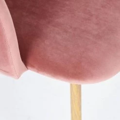 Ynez Velvet Upholstered Black Metal Legs Arm Dining Chairs(Set of 2) by Homy Casa -Homy Casa Shop rose homy casa dining chairs ynez rose oak x leg 66 1000