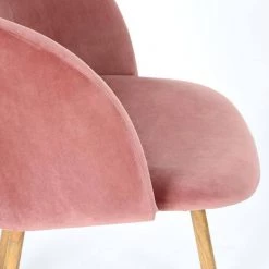 Ynez Velvet Upholstered Black Metal Legs Arm Dining Chairs(Set of 2) by Homy Casa -Homy Casa Shop rose homy casa dining chairs ynez rose oak x leg 76 1000