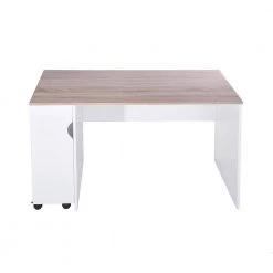 Midtown 47.4 in. White Writing Desk with Movable Shelves by Homy Casa -Homy Casa Shop white homy casa writing desks midtown lr beech a c3 1000